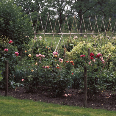 Rijksdienst voor het Cultureel Erfgoed: Heuff M. (Marijke)
