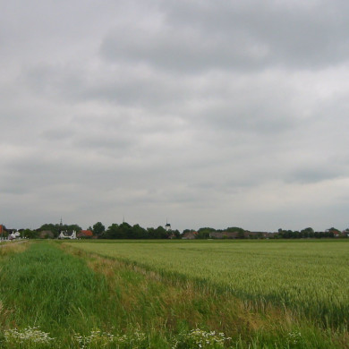 Rijksdienst voor het Cultureel Erfgoed: Terpstra, Frank