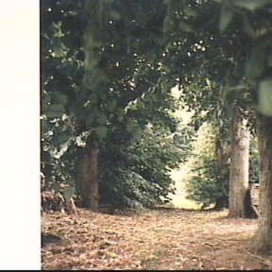 Rijksdienst voor het Cultureel Erfgoed: Eggen, C.