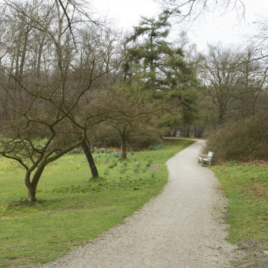 Rijksdienst voor het Cultureel Erfgoed: Galen, Jan van