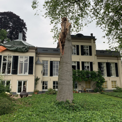 Rijksdienst voor het Cultureel Erfgoed: Bogers, Guido