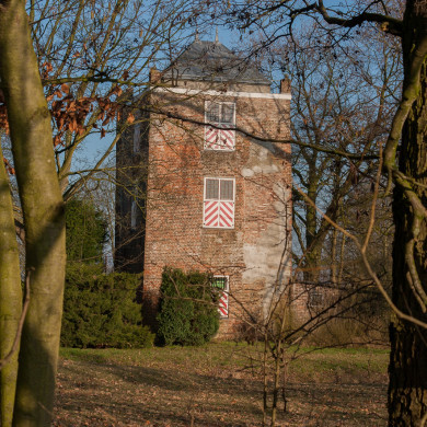 Rijksdienst voor het Cultureel Erfgoed: Speelman, Albert