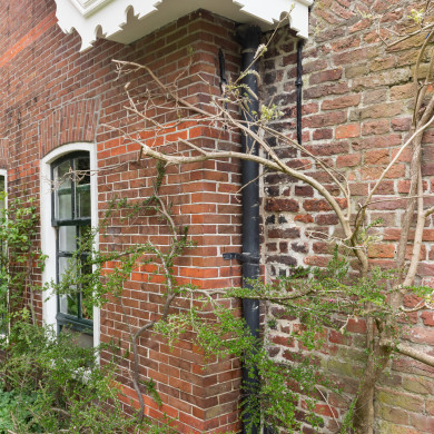 Rijksdienst voor het Cultureel Erfgoed: Sekuur, Mark