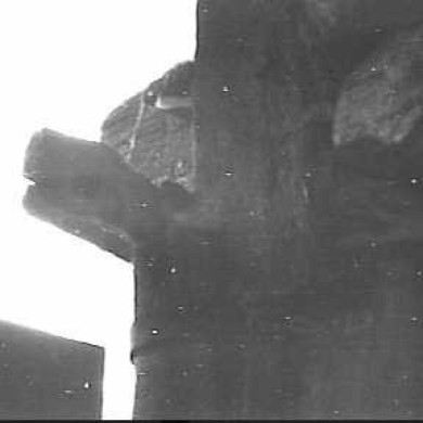 Rijksdienst voor het Cultureel Erfgoed: Jong, L. de