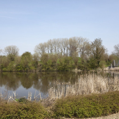 Rijksdienst voor het Cultureel Erfgoed: Booms, C.S. (Chris)-Galen, P. (Paul) van