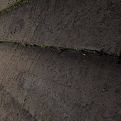 Rijksdienst voor het Cultureel Erfgoed: Roderburg, K. (Kris)