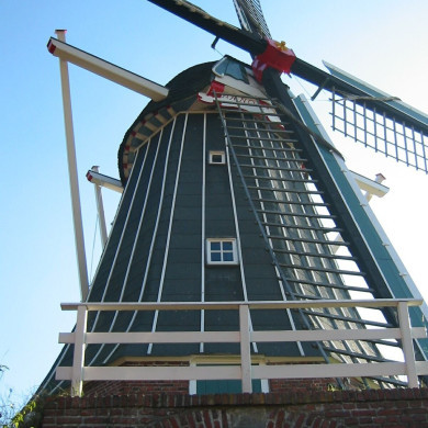 Rijksdienst voor het Cultureel Erfgoed: Terpstra, Frank