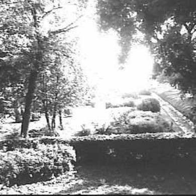 Rijksdienst voor het Cultureel Erfgoed: Nuijten, J.M.M.