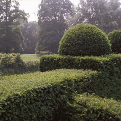 Rijksdienst voor het Cultureel Erfgoed: Heuff M. (Marijke)