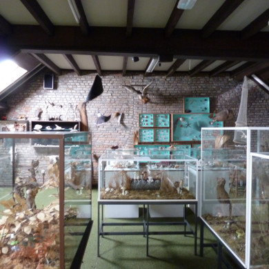 Rijksdienst voor het Cultureel Erfgoed: Hille, Janneke