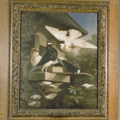 Rijksdienst voor het Cultureel Erfgoed: Galen, P. (Paul) van