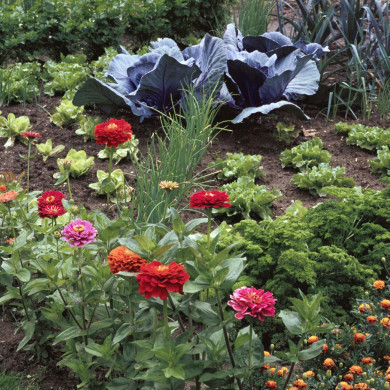 Rijksdienst voor het Cultureel Erfgoed: Heuff M. (Marijke)