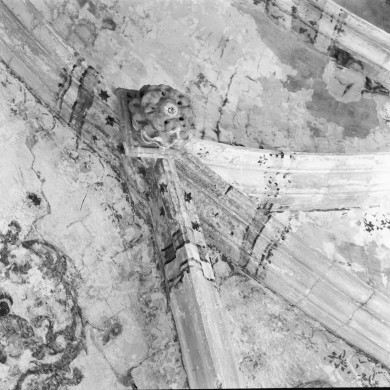 Rijksdienst voor het Cultureel Erfgoed: Delemarre, G.Th.