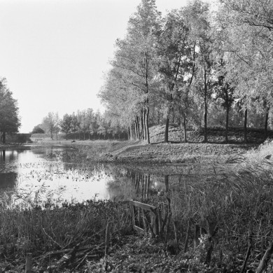 Rijksdienst voor het Cultureel Erfgoed: Tangel, L.M.