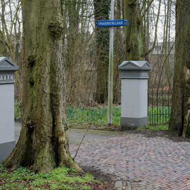 Rijksdienst voor het Cultureel Erfgoed: Speelman, Albert