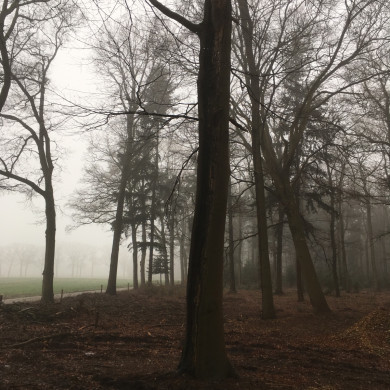 Rijksdienst voor het Cultureel Erfgoed: Wal, Henry van der