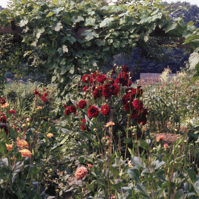 Rijksdienst voor het Cultureel Erfgoed: Heuff M. (Marijke)