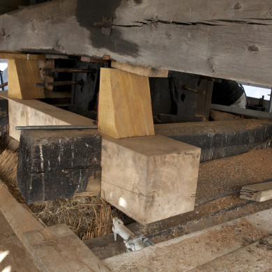 Rijksdienst voor het Cultureel Erfgoed: Roderburg, K. (Kris)