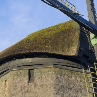 Rijksdienst voor het Cultureel Erfgoed: Galen, Jan van