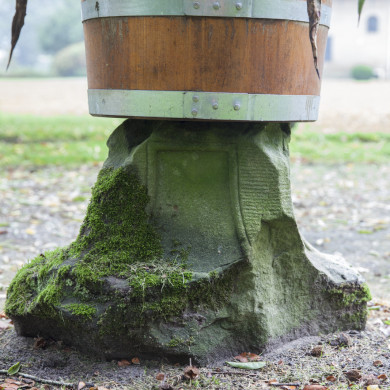 Rijksdienst voor het Cultureel Erfgoed: Sar, Wouter van der
