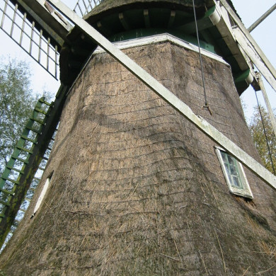 Rijksdienst voor het Cultureel Erfgoed: Terpstra, Frank