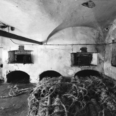 Rijksdienst voor het Cultureel Erfgoed: Delemarre, G.Th.