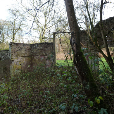 Rijksdienst voor het Cultureel Erfgoed: Wal, Henry van der