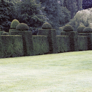 Rijksdienst voor het Cultureel Erfgoed: Heuff M. (Marijke)