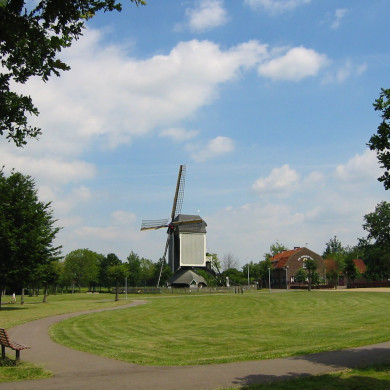 Rijksdienst voor het Cultureel Erfgoed: Terpstra, Frank