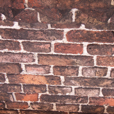 Rijksdienst voor het Cultureel Erfgoed: Hille, Janneke