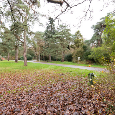 Rijksdienst voor het Cultureel Erfgoed: Sekuur, Mark