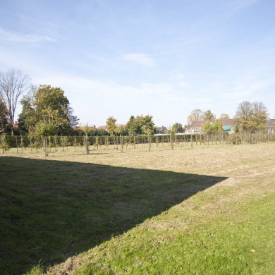 Rijksdienst voor het Cultureel Erfgoed: Technau, Sergé