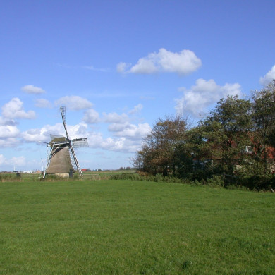 Rijksdienst voor het Cultureel Erfgoed: Terpstra, Frank