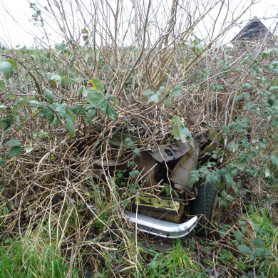 Rijksdienst voor het Cultureel Erfgoed: Bogers, Guido