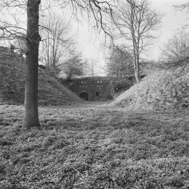 Rijksdienst voor het Cultureel Erfgoed: Schollen, A.H.C.