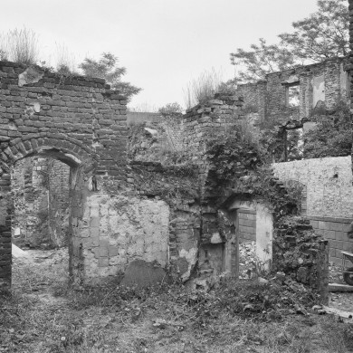 Rijksdienst voor het Cultureel Erfgoed: Delemarre, G.Th.