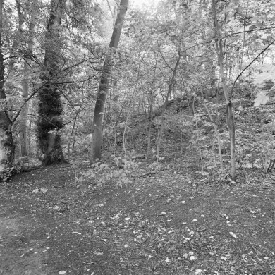 Rijksdienst voor het Cultureel Erfgoed: Wal, A.J. van der