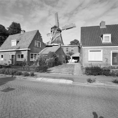 Rijksdienst voor het Cultureel Erfgoed: Heins, IJ.Th.