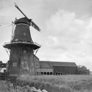 Rijksdienst voor het Cultureel Erfgoed: Dijkstra