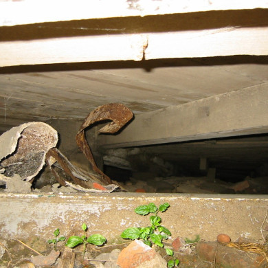 Rijksdienst voor het Cultureel Erfgoed: Terpstra, Frank