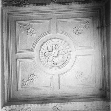 Rijksdienst voor het Cultureel Erfgoed: Delemarre, G.Th.