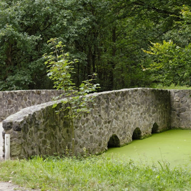 Rijksdienst voor het Cultureel Erfgoed: Technau, Sergé