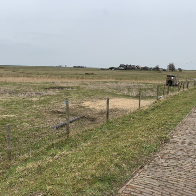 Rijksdienst voor het Cultureel Erfgoed: Bogers, Guido