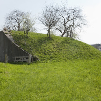Rijksdienst voor het Cultureel Erfgoed: Galen, P. (Paul) van-Booms, C.S. (Chris)