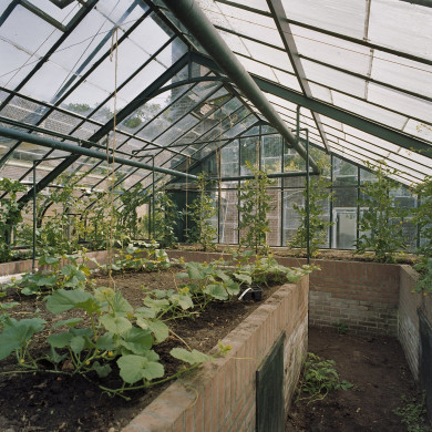 Rijksdienst voor het Cultureel Erfgoed: Heins, IJ.Th.