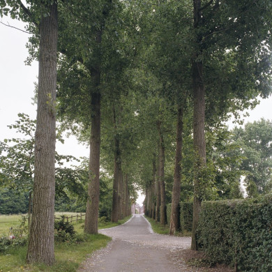 Rijksdienst voor het Cultureel Erfgoed: Wal, A.J. van der