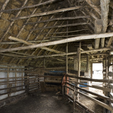 Rijksdienst voor het Cultureel Erfgoed: Booms, C.S. (Chris)