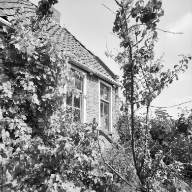 Rijksdienst voor het Cultureel Erfgoed: Wal, A.J. van der