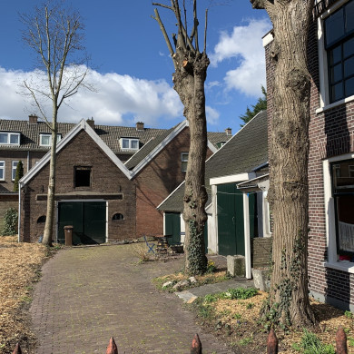 Rijksdienst voor het Cultureel Erfgoed: Bogers, Guido