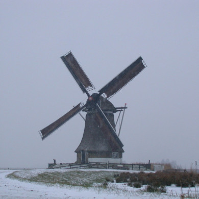 Rijksdienst voor het Cultureel Erfgoed: Terpstra, Frank
